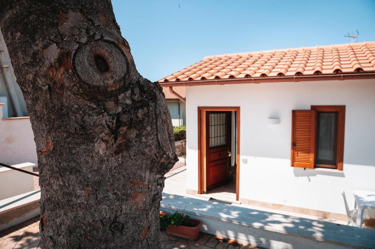 Magnolia Rooms Civitavecchia Εξωτερικό φωτογραφία